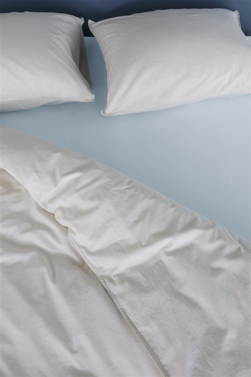 Bedinghouse Drap-Housse Jersey Bleu Clair