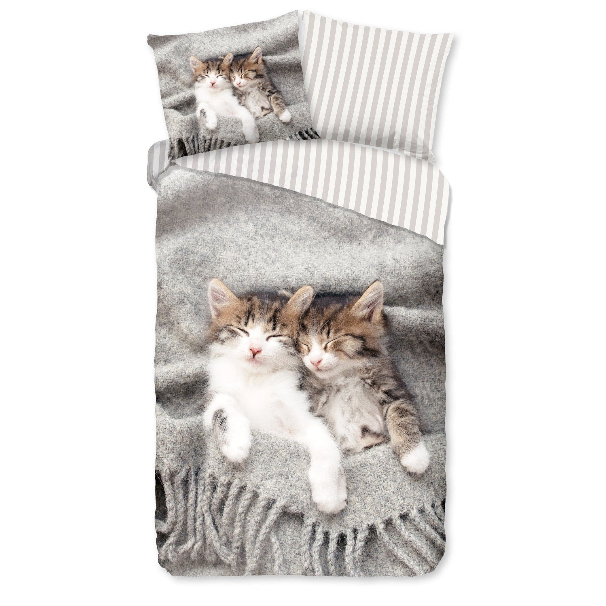 Housse de Couette Pure Microfibre Snooze Gris