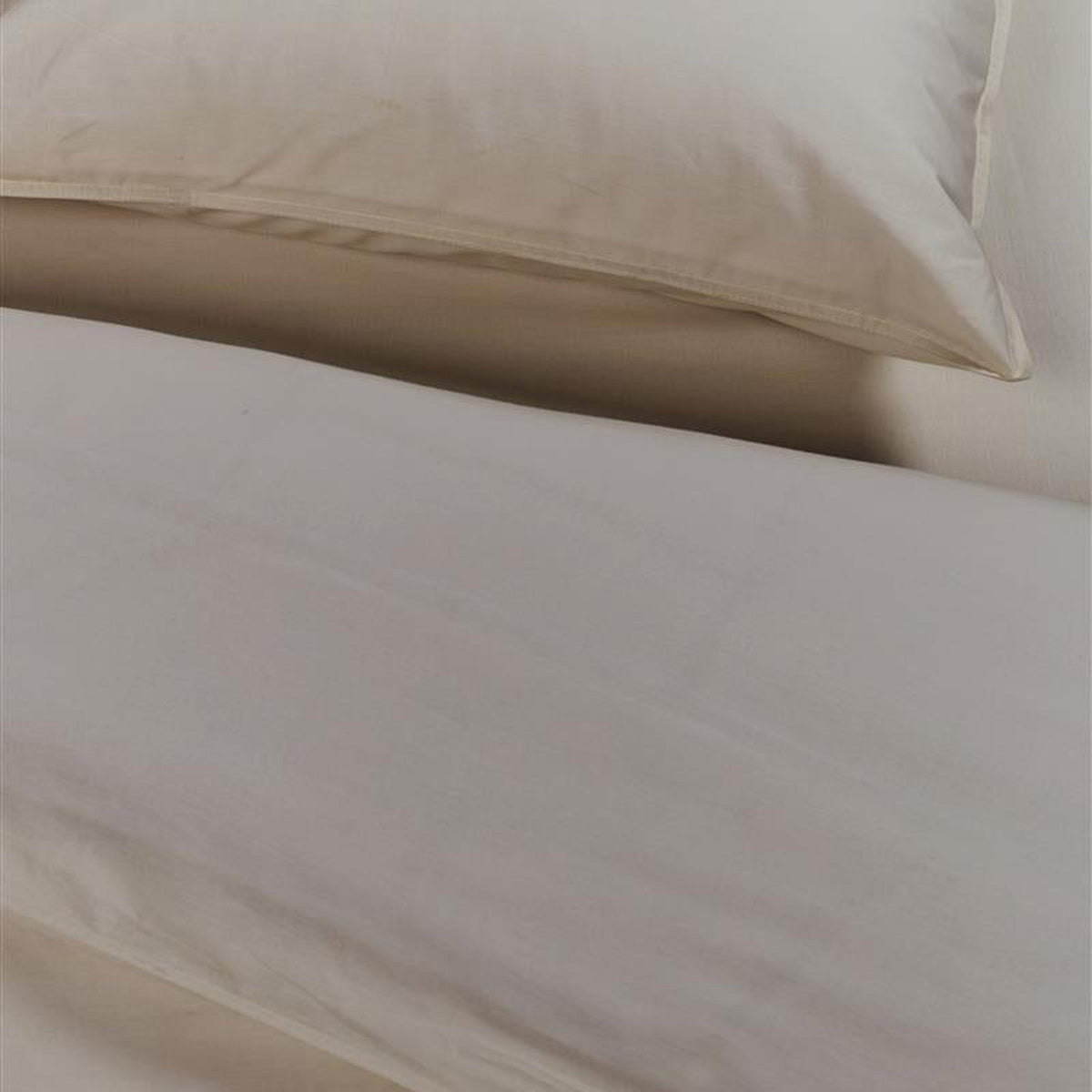Coton
