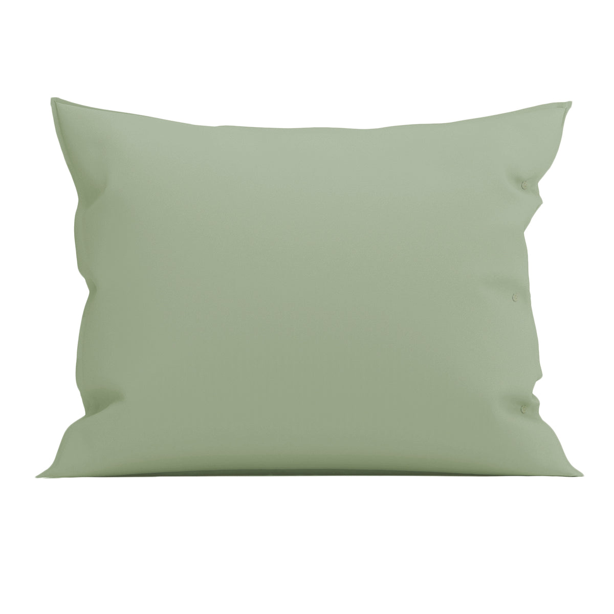 Percale de coton