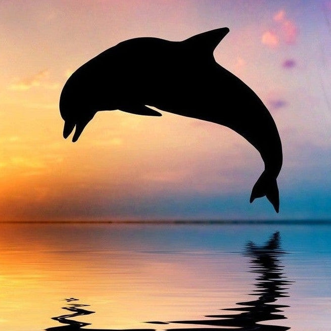 Good Morning Dekbedovertrek Katoen Dolphin Multi